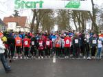 Zur gro&szlig;en L&auml;uferschar am Start geh&ouml;rten auch 7 Bode-Runners. 