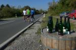 Die Verf&uuml;hrung am Weinstra&szlig;enrand war wirklich gro&szlig;