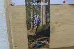 Im beschaulichen Harzer Ort K&ouml;nigsh&uuml;tte fand zum 5. Mal der Bodfeldlauf statt, an dem sich auch 4 Bode-Runners beteiligten.