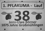 Am 1. Lauf anläßlich der Pflaumenkuchensaison beteiligten sich in Großmühlingen 4 Sportler der Gaensefurther Sportbewegung.