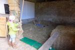 Renate Liedke lie&szlig; es sich nicht nehmen, nach der Laufarbeit einen Sprung ins Heuhotel vom Hof Martin zu wagen.
