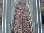 45 000 L&auml;ufer aus der ganzen Welt wollten sich den gr&ouml;&szlig;ten Marathon der Welt 2010 in New York nicht entgehen lassen. Er f&uuml;hrt von Staten Island bis Manhattan, wobei 5 Br&uuml;cken passiert werden m&uuml;ssen.