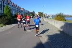 Thomas Braun wird hier gleich noch die Salinenbr&uuml;cke &uuml;berqueren. Die Elbbr&uuml;cke im Hintergrund, wird er auf seiner zweiten Runde noch einmal in Angriff nehmen.