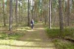Die ausgedehnten W&auml;lder boten eine  entspannte Wettkampfkulisse.