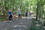 Durch das Krumbholz ging es hinauf zum Bernburger Paradies. Das mussten sich die Bode-Runners der Gaensefurther Sportbewegung erst erarbeiten (blaue Shirts).