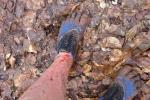 Berg und Tal, Matsch, Schweiß und sogar Blut - beim 13. Lauf rund um das Schaubergwerk Röhrigschacht war voller Körpereinsatz gefragt.


