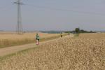 Die gr&ouml;&szlig;tenteils baumlose Laufstrecke forderte den L&auml;ufern bei der Hitze einiges ab.