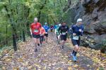 Auf dem Pr&auml;sidentenweg ging es f&uuml;r die Bode-Runners brutal bergauf.