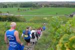 Abenteuerlich ging es die Weinberge hoch und auch wieder runter.