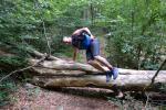 „Sportlich, sportlich!“ nimmt Stefan Sindermann hier die kleinen Hindernisse der 16-Kilometer-Strecke.