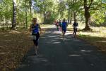 Bei fr&uuml;hherbstlichem Wetter ging es auf einer Distanz von 10 km durch den Magdeburger Rotehornpark. 