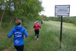 Sattes Gr&uuml;n und historische Hinweise wurden auch passiert.